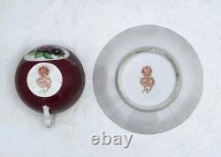 Antique Gardner Imperial Russian Ruby Colour Hand Painted Porcelain Cup & Saucer