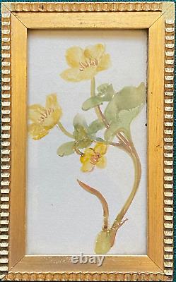 Antique Hand Painted Flower Painting Grand Duchess Olga Romanov Imperial Russia