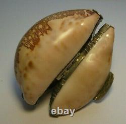 Antique Shell Coin Box Imperial Sterling Silver 84 Shell