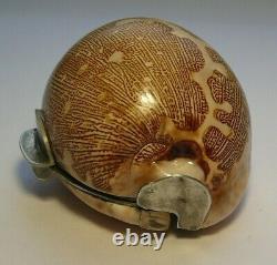 Antique Shell Coin Box Imperial Sterling Silver 84 Shell
