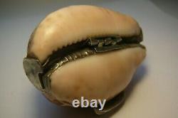 Antique Shell Coin Box Imperial Sterling Silver 84 Shell