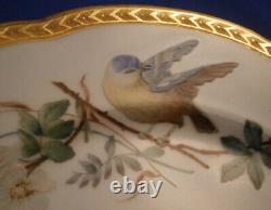 Antique St. Petersburg Imperial Russian Porcelain Bird Plate Porzellan Teller #1