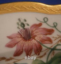 Antique St. Petersburg Imperial Russian Porcelain Bird Plate Porzellan Teller #2