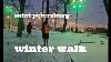 Winter Walk In Saint Petersburg